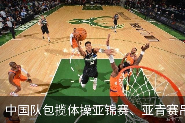中国队包揽体操亚锦赛、亚青赛吊环金牌