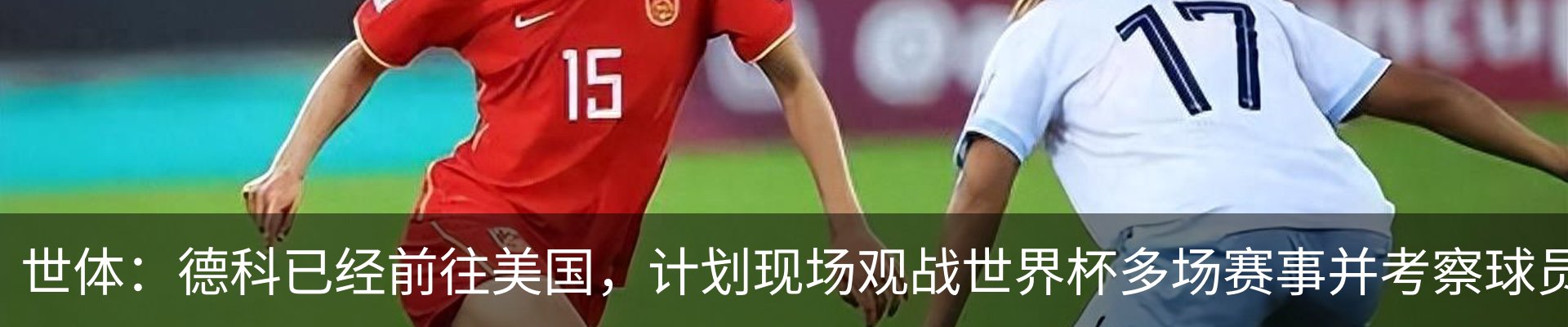 最新动态