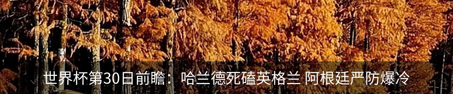 最新动态