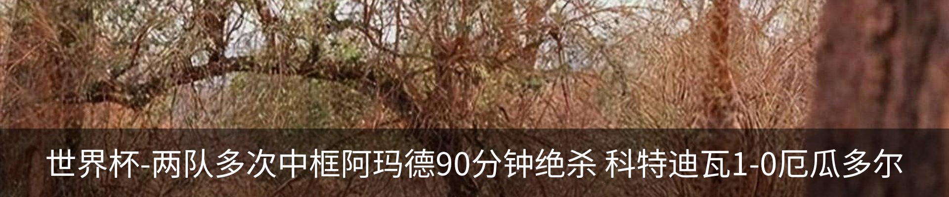最新动态