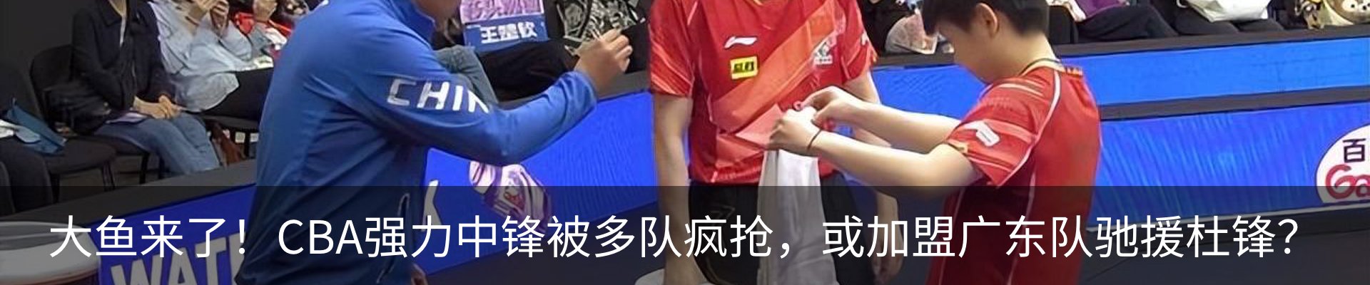 最新动态