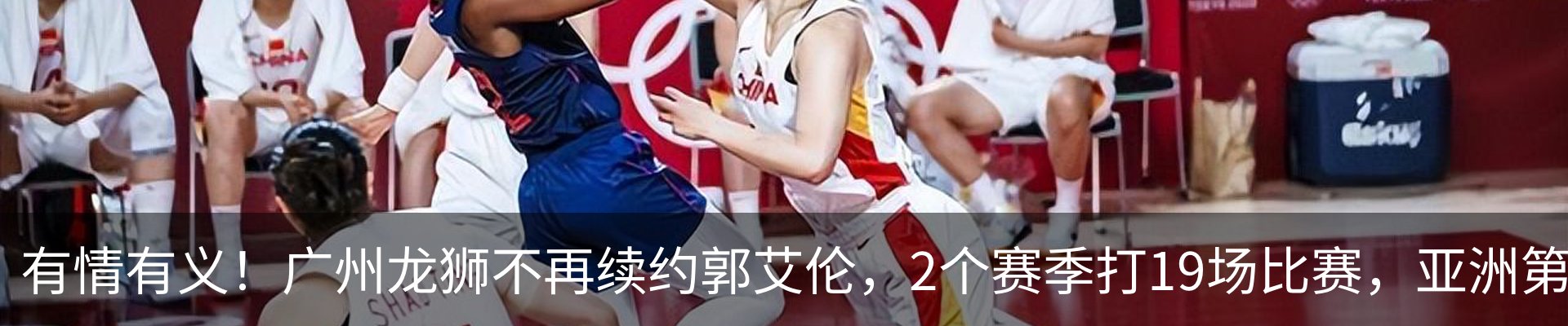 最新动态