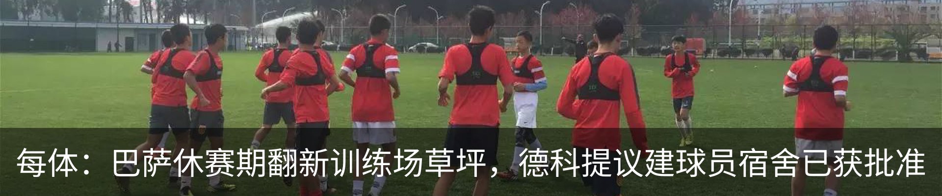 最新动态