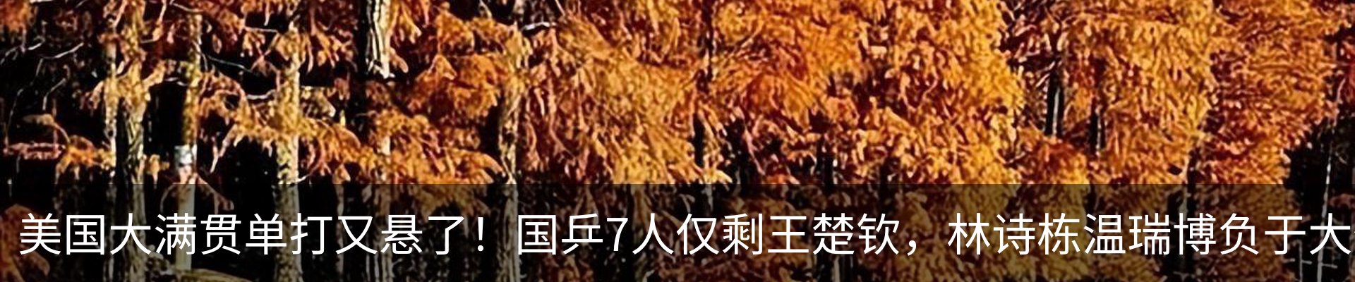 最新动态
