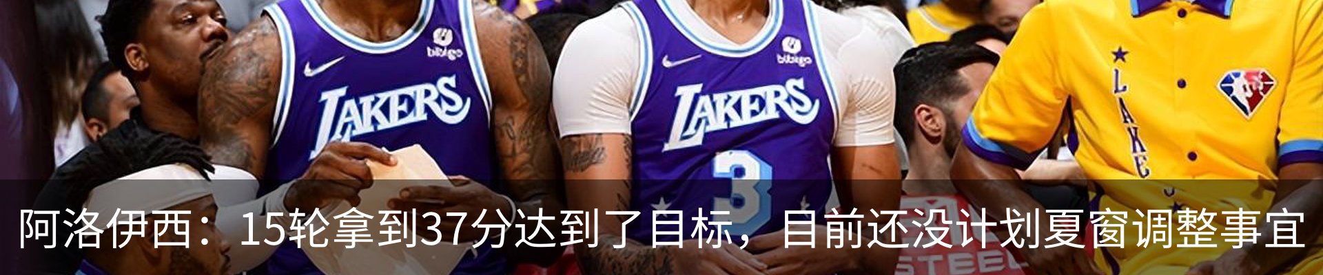 最新动态