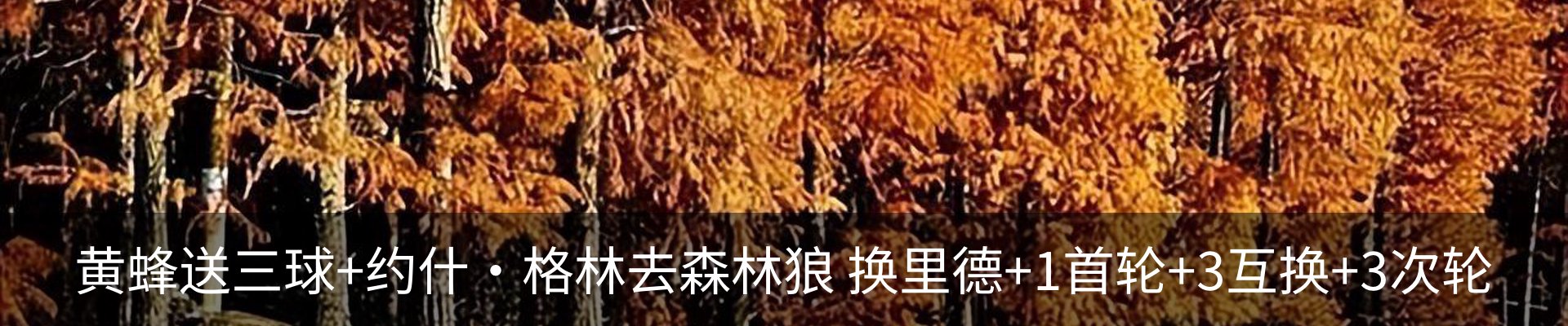 最新动态