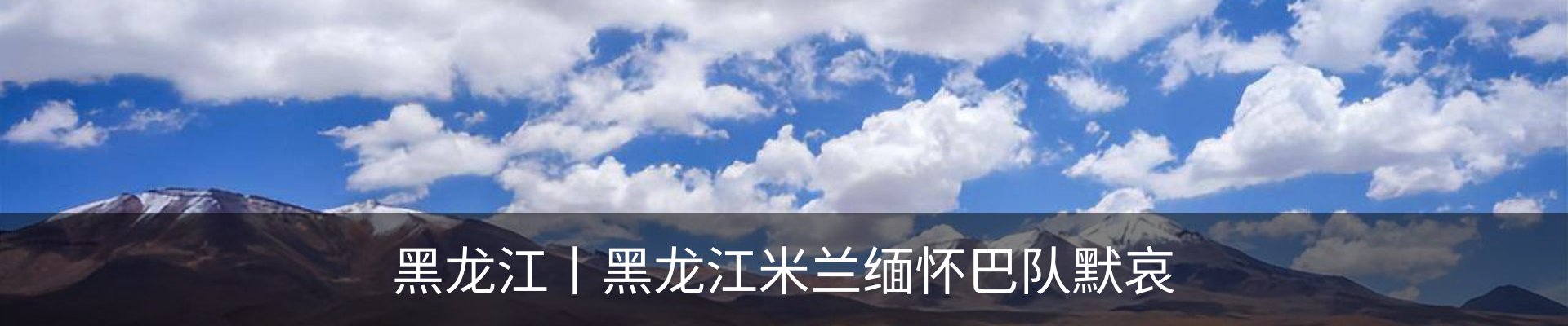 最新动态