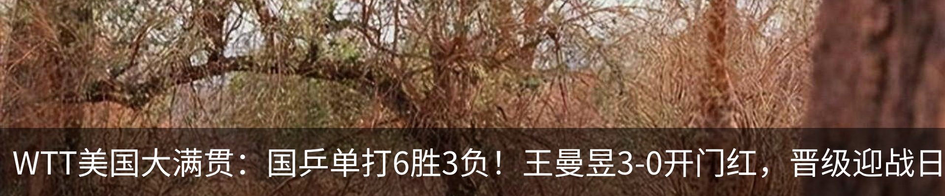 最新动态